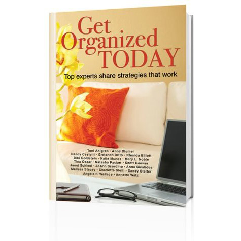 Get Organized Today book